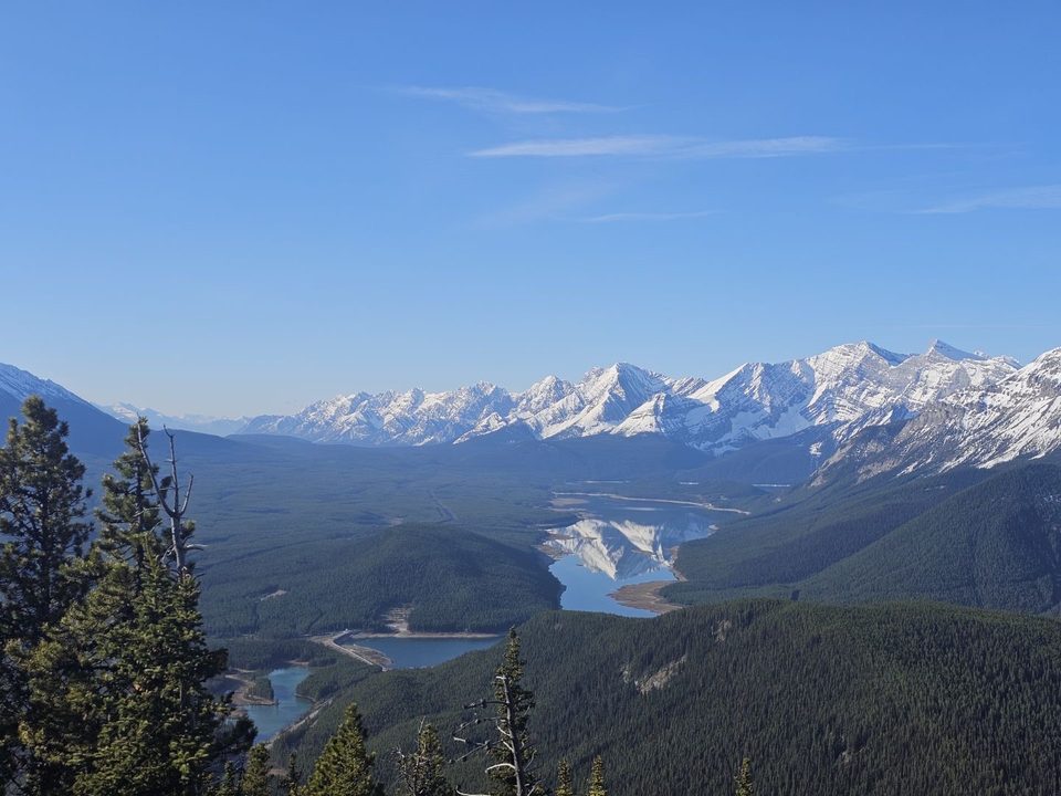 A forested valley with lakes, snow-covered mountains, and a clear blue sky, viewed from a hillside.